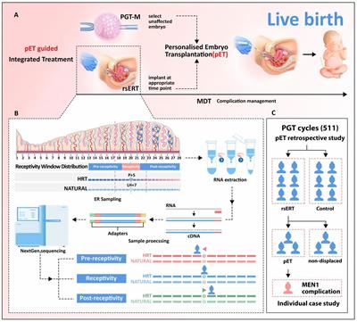 Integrated treatment guided by RNA-seq–based endometrial receptivity assessment for infertility complicated by MEN1